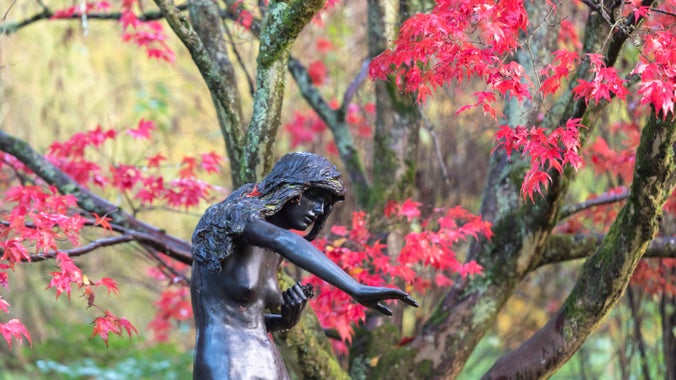 Masarn Japaneaidd (Acer palmatum) ger cerflun nymff yn yr ardd yng Nghastell a Gardd y Waun, Wrecsam, yn yr hydref.